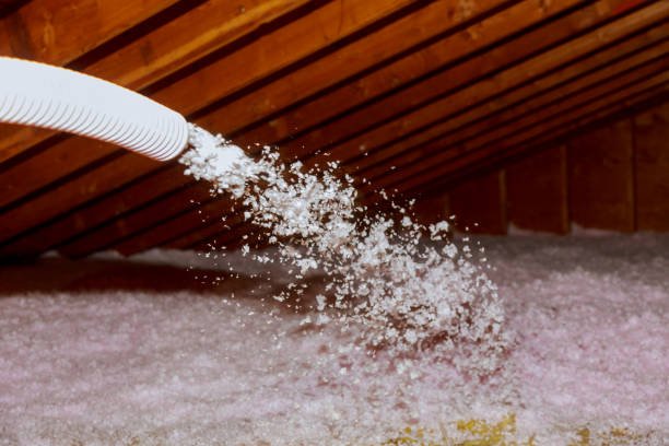 Best Attic Insulation Installation  in Avondale, PA