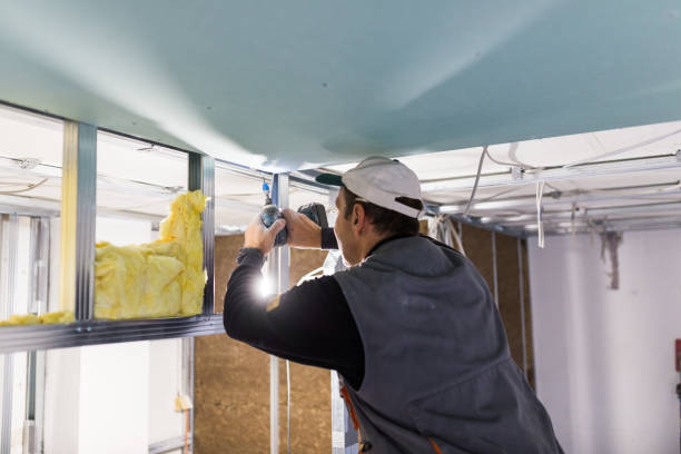 Best Cellulose Insulation  in Avondale, PA