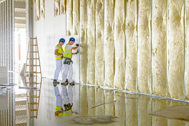 Best Residential Insulation Services  in Avondale, PA